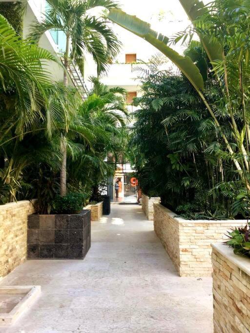 Your Exclusive Studio In The City - Top Amenities & Services For Free!! Playa del Carmen Luaran gambar