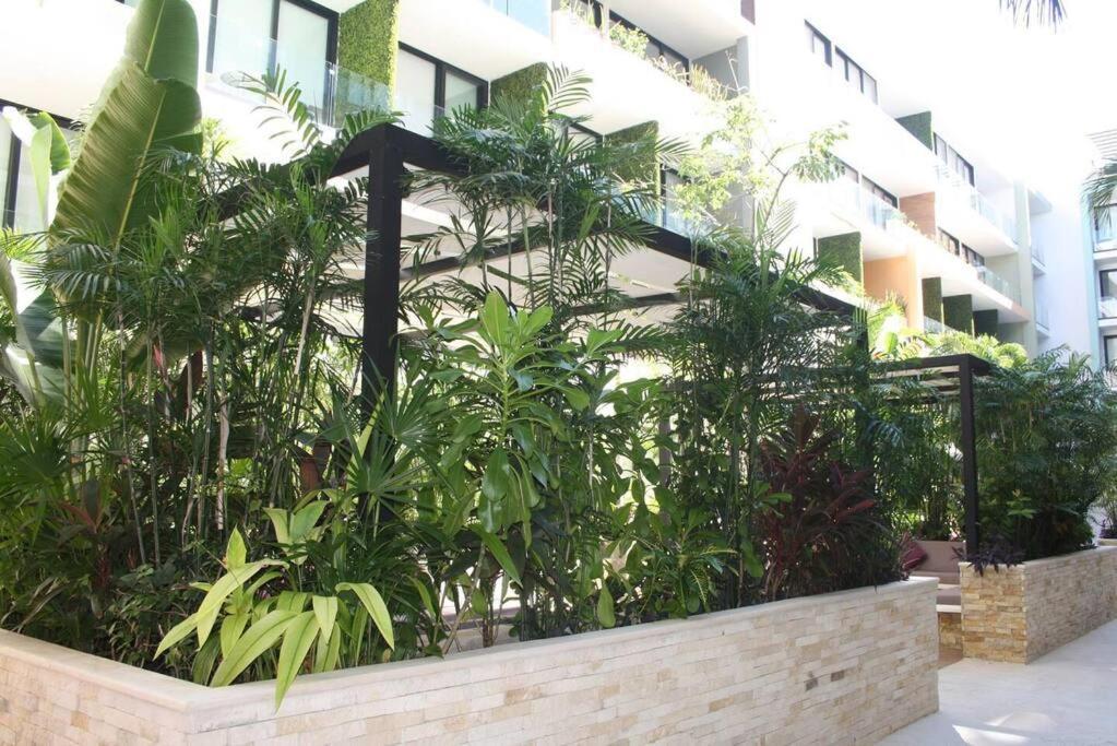 Your Exclusive Studio In The City - Top Amenities & Services For Free!! Playa del Carmen Luaran gambar